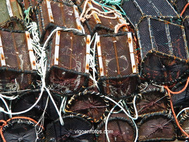 BAIONA dei porti di pesca