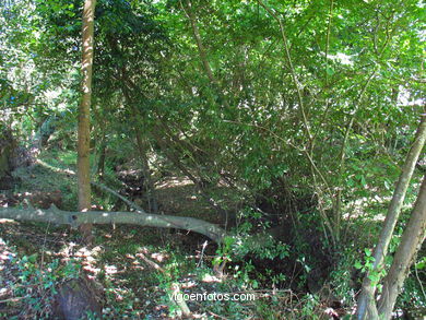 MEDIEVAL BRIDGE ON THE RIVER ORXAS Aldan