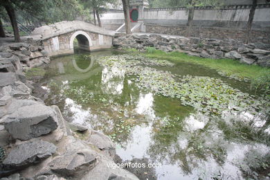 Summer Palace. 