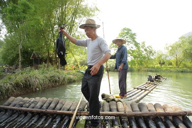 Tour boat bamboo. 