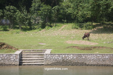 Paisagens do rio Li . 