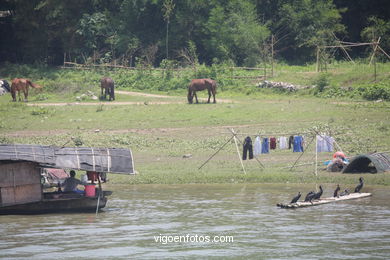 Landscapes of Li River. 