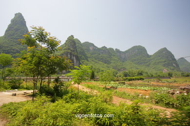Landscapes growing Guilin