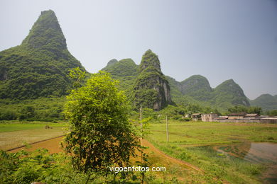 Landscapes of cultivation. Peasants. 