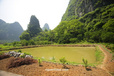 Landscapes of cultivation. Peasants. 