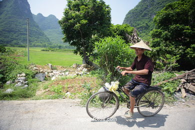 Landscapes of cultivation. Peasants. 