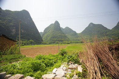 Paisagens de cultivo. Camponeses . 