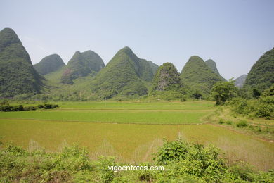 Paisagens de cultivo. Camponeses . 