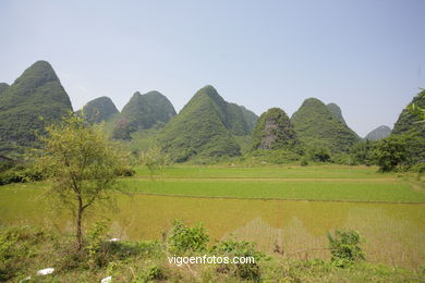 Landscapes of cultivation. Peasants. 