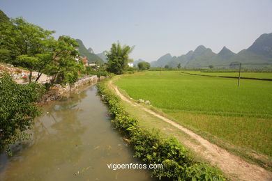 Landscapes of cultivation. Peasants. 