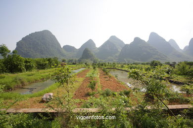 Landscapes of cultivation. Peasants. 