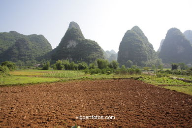 Landscapes of cultivation. Peasants. 