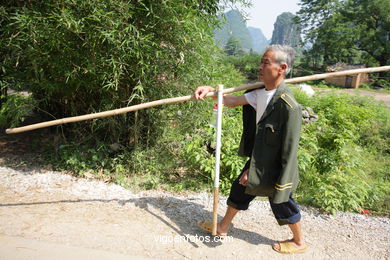 Landscapes of cultivation. Peasants. 