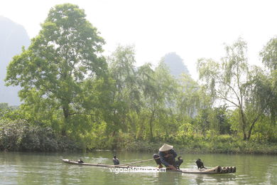 Fishing with cormorants. 