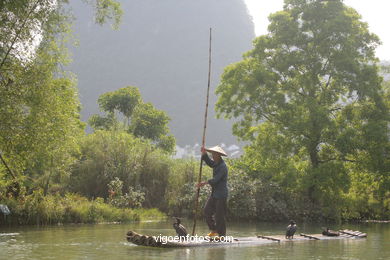 Fishing with cormorants. 