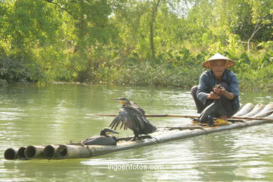 Pesca com cormoranes . 