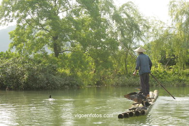 Pesca com cormoranes . 