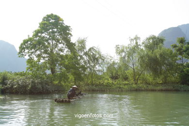 Fishing with cormorants. 