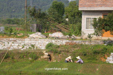 Landscapes of cultivation. Peasants. 