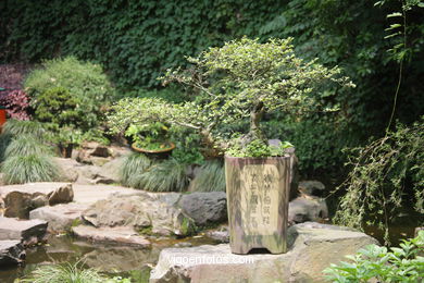 Pagoda de las Seis Armonias. 