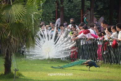 Park Hua Gang.