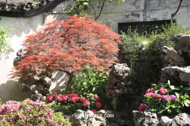 Yuyuan Garden. 