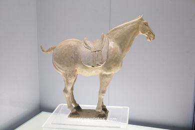 Museu de Xangai (Shanghai).