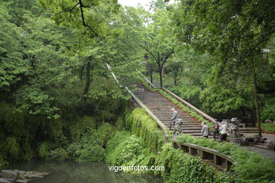 Colina del Tigre. 