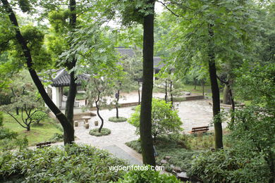 Tiger Hill.