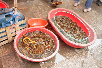 Traditional market. 