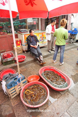 Mercado tradicional. 