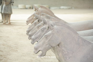 Museo Guerreros Terracota. Fosa 1. 