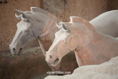 Museo Guerreros Terracota. Fosa 1. 