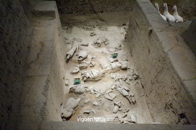 Museo Guerreros Terracota. Fosa 3. 