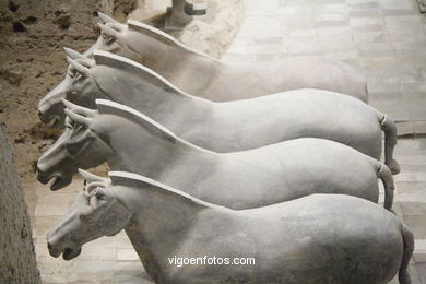 Terracotta Warriors Museum. Pit 3.