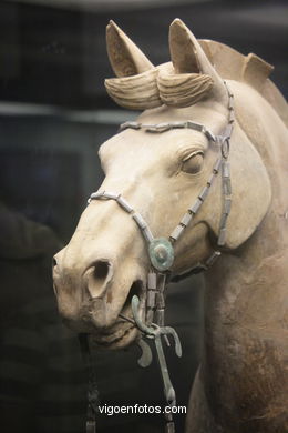 Museo Guerreros Terracota. Fosa 2. 