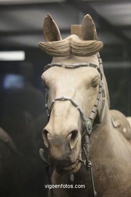 Museu Guerreiros Terracota. Fosa 2 . 