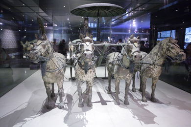 Museo Guerreros Terracota. Fosa 2. 