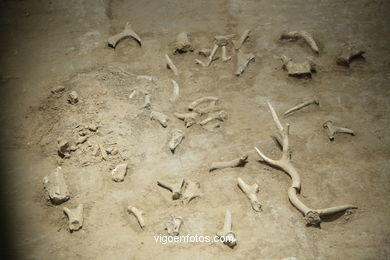 Museu Hanyangling .
