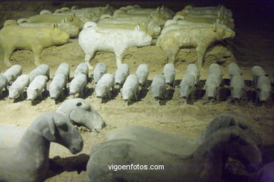 Museu Hanyangling .