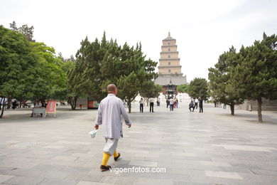 Big Wild Goose Pagoda. 