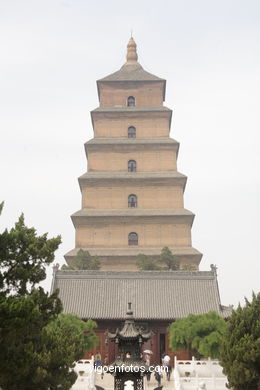 Big Wild Goose Pagoda. 