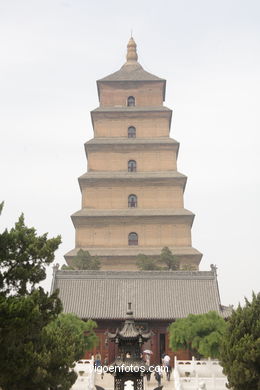 Gran Pagoda de la Oca Salvaje. 