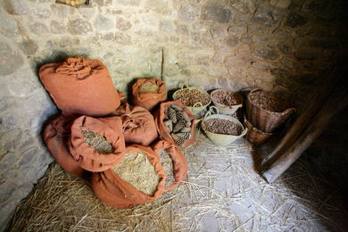 CASTRO DE VIGO: ALMACÉN DEL POBLADO. CASTRO DE VIGO.