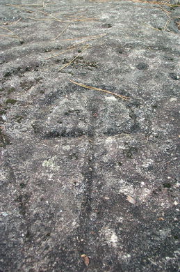 ROCK ART - CAVE EMBOSSING