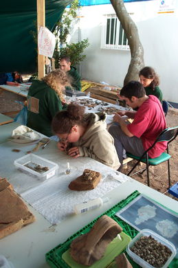 ROMAN TOWN OF TORALLA EXCAVATION