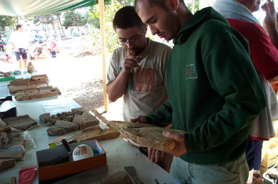 Villa romana de Toralla (Excavación)