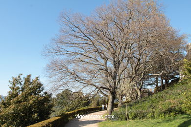 CASTILLOS DE GALICIA: SEGUNDA MURALLA CASTILLO DEL CASTRO. SIGLO XVII