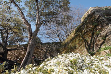 SPAIN CASTLES: VIGO CASTLE 