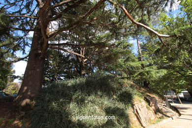 SPAIN CASTLES: VIGO CASTLE 